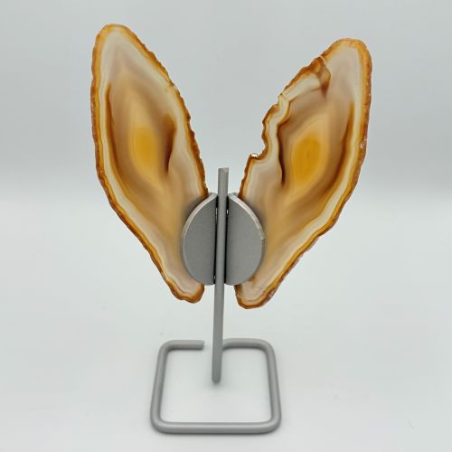 Agaat vlinder betekenis