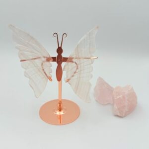 Witte fluoriet vlinder