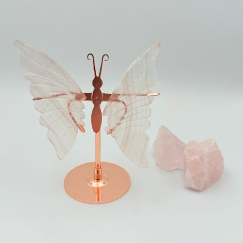 Witte fluoriet vlinde Witte fluoriet vlinder