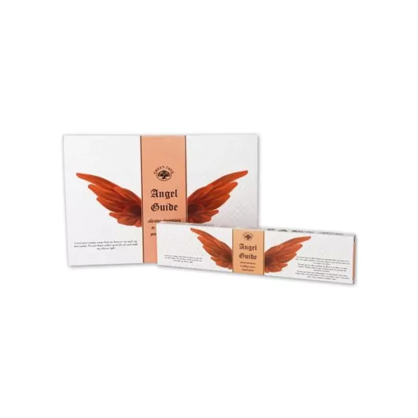 Guide Angel