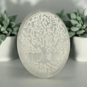 Handsteen levensboom