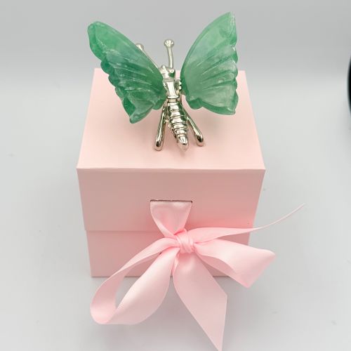 Fluoriet vlinder Fluoriet vlinder