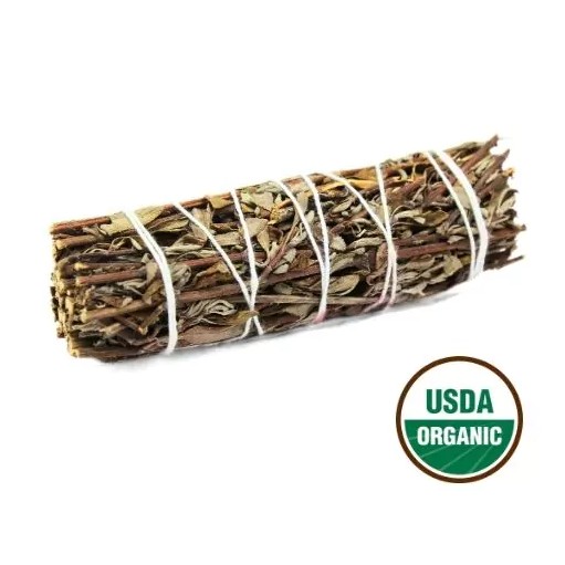 Berg Salie 10 cm Berg Salie 10 cm2