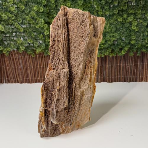 ersteend Hout sculpture Versteend Hout sculpture