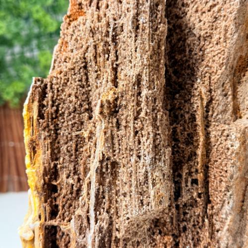 ersteend Hout sculpture