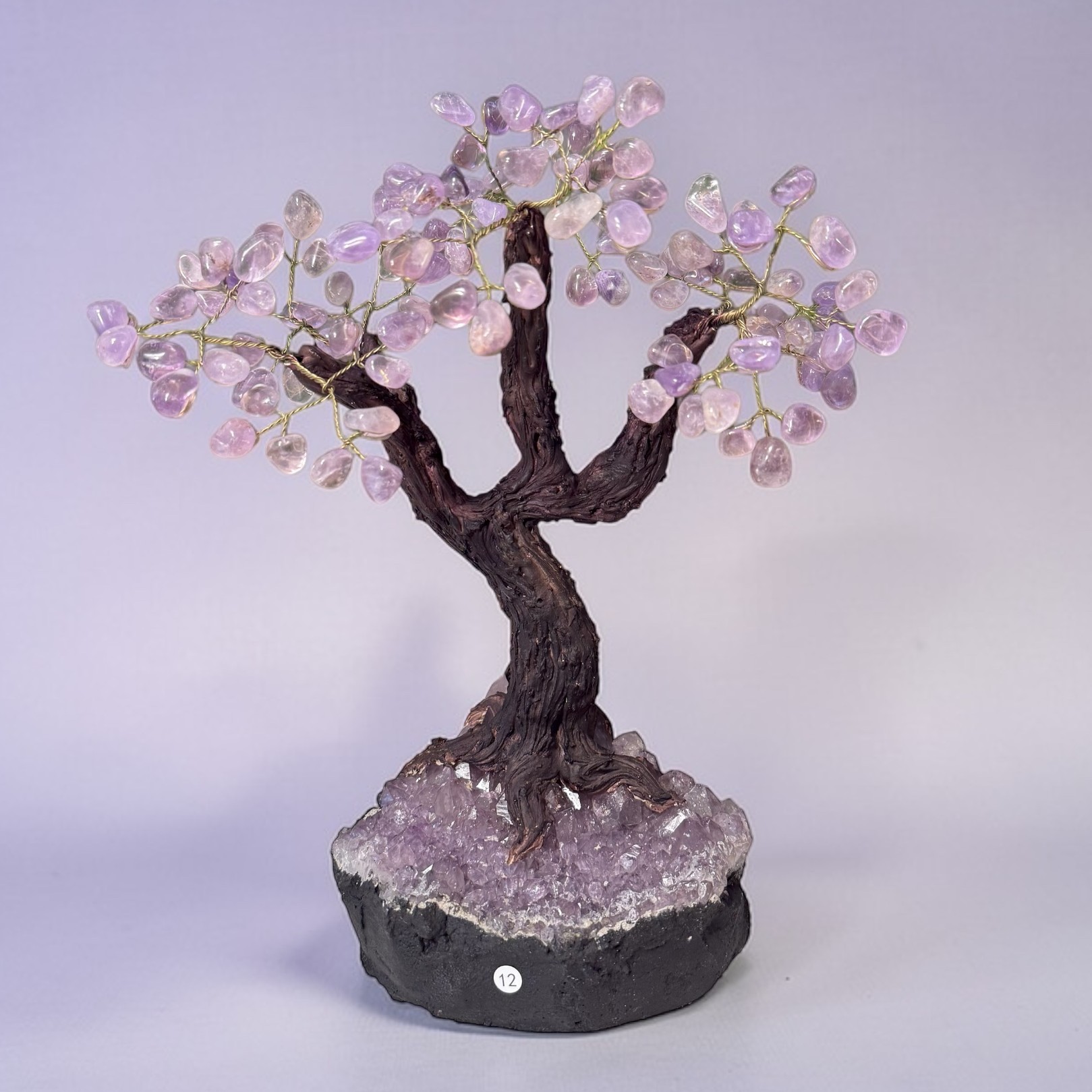12 edelsteenbomen amethist