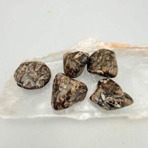 Turtitelle agaat trommelsteen - Stabiliteit en aarding