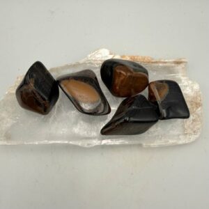 Valkenoog trommelsteen - Inzicht en bescherming