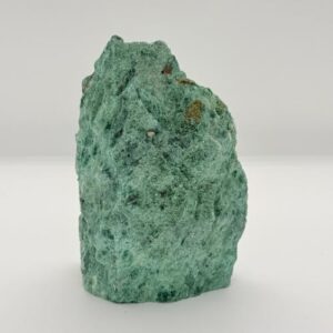Groene ruwe fuchiet