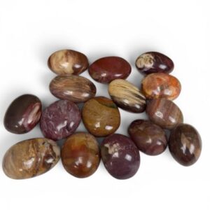 Versteend hout