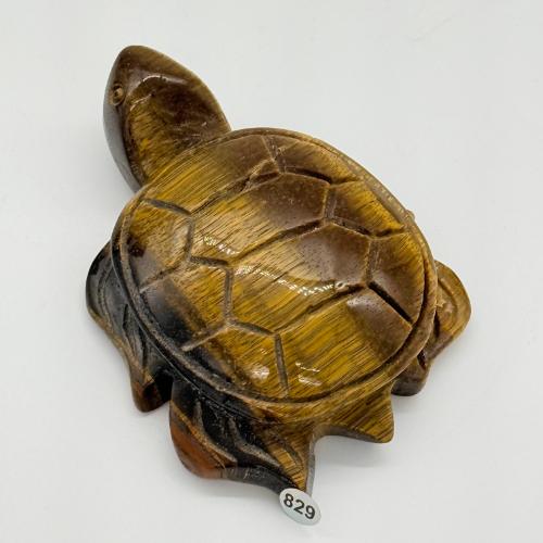 Grote tijgeroog schildpad carving