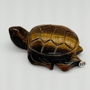 Grote tijgeroog schildpad carving